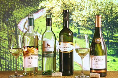 Vier, die gut zu Spargel passen (von links): Gutedel, Müller-Thurgau, Sauvignon blanc oder Weißburgunder – je trocken.