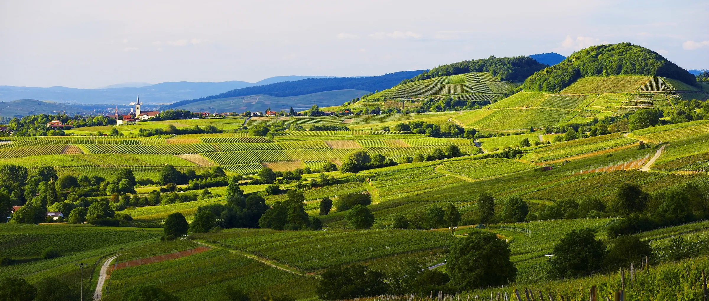 Die Lage Ballrechten-Dottinger Castellberg. Man beachte die beiden zugehörigen Berge mit den erstklassigen Steillagen. Im Hintergrund Ballrechten. Bildrechte: Gemeinde Ballrechten-Dottingen