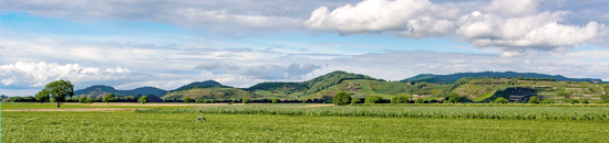 The Kaiserstuhl, a long-extinct volcano, rises from the Rhine plain, visible from afar. Photo credit: Edler von Rabenstein