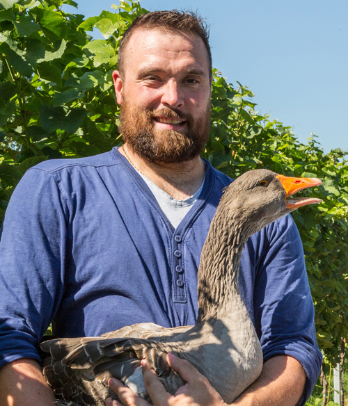 Weingut Eugen Wamsganss: Inhaber Christian Estelmann. Foto: Armin Faber