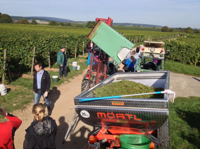 Event-Lesetag im Weinhof Martin