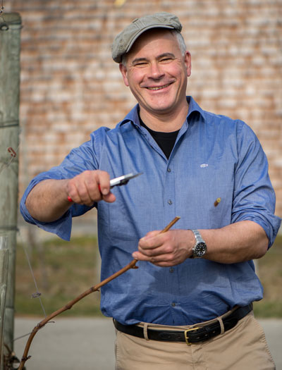 Manfred Aufricht, Weingut Aufricht, mir der Rebschere. Foto: Winfried Heinze