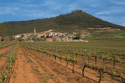 Weingärten am Jakobspilgerweg bei Villamayor de Monjardin.