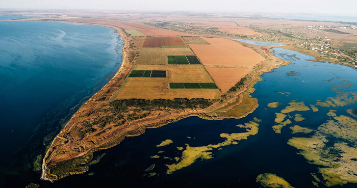 Die Weinberge des Weinguts Beykush wachsen auf der Halbinsel Beykush, die von der Bucht und der Flussmündung umspült wird. Foto: Beykush Winery