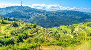 Wine landscape in the Kaiserstuhl, volcanic and loess terraces. Photo by Sina Ettmer - Adobestock