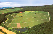 Weingut Amalienhof