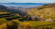 Liebliche Weinlandschaft im Kaiserstuhl: In der Mitte Oberbergen umgeben von der Lage Baßgeige, vorne rechts Schelingen. Gute Tropfen gibt&#039;s bei der Winzergenossenschaft Oberbergen. Foto: Westend61 / Werner Dieterich - Adobestock