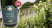 Top-Riesling GG – Großes Gewächs aus der Steillage Königslay-Terrassen (im Bild), eine nahezu exklusive Eigenlage des Weinguts Albert Kallfelz. Landschaftsfoto: Doris Schnorbach