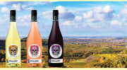 Eingefangene Frische: Die Linie ‚Cool&amp;Fresh‘ der Bickensohler Weinvogtei. Vor der Weinlandschaft bei Bickensohl, Kaiserstuhl