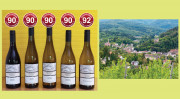 90 bis 92 bonvinitas Punkte - gute Adresse in Baden-Baden: Weingut Knapp mit Weinbergen über der Stadt. Im Bild Reben am Eckberg mit Blick auf den Baden-Badener Stadtteil Lichtental. Foto: HeiSpa - Adobestock