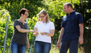 Weingut Knöll &amp; Vogel