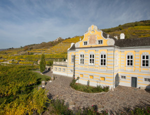 Die Domäne Wachau - hat sich in die Topliga katapultiert! Im Bild: das Repräsentationsgebäude Kellerschlössel Dürnstein