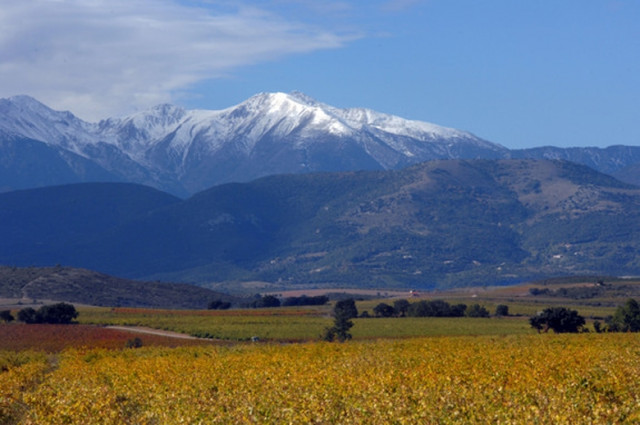 Das Roussillon: flotte Rosés und Rote mit wuchtiger Süße