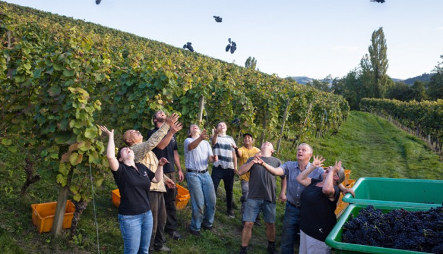 Weingut Maximilian Bohnert