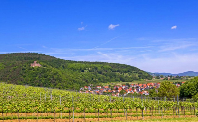 5 besondere Orte in der Pfalz - wo versteckte Schönheit wartet