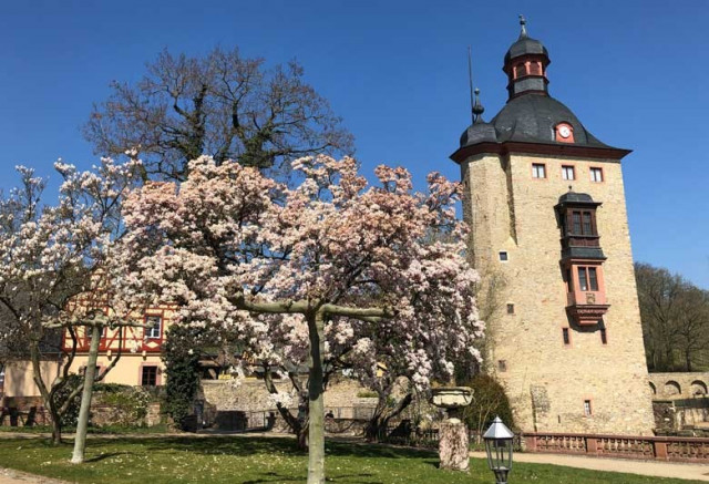 Ein Wein-Kultur-Spaziergang im Rheingau