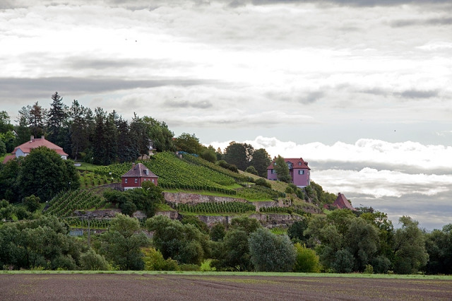 Hagel wütet in Weinbergen an Saale und Unstrut