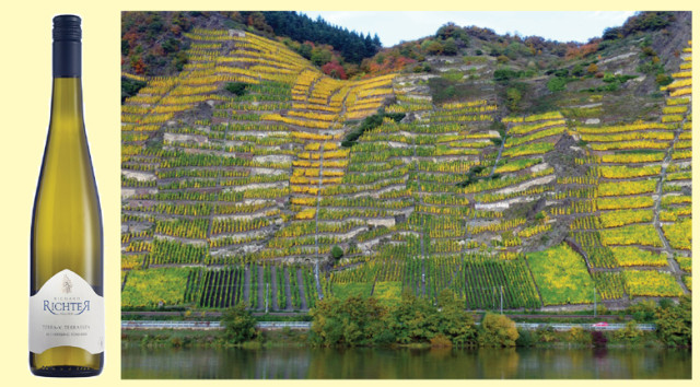 Weingut Richard Richter in Winningen/Mosel