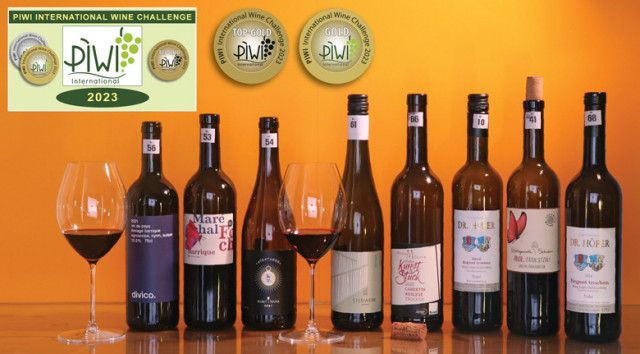 Super Rotweine: die besten des PIWI International Wine Challenge 2023