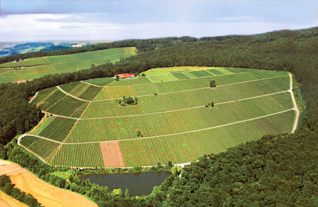 Weingut Amalienhof