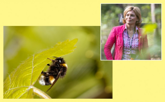 Bundesministerin Julia Klöckner fördert biologischen Pflanzenschutz