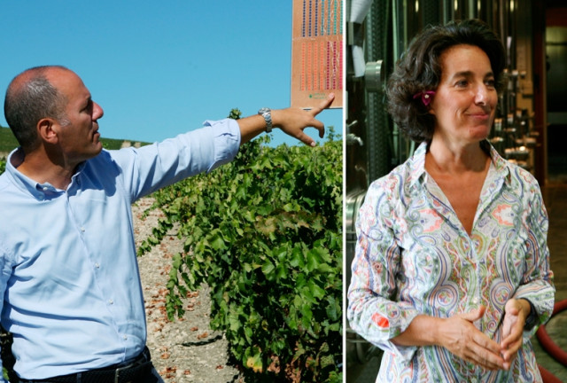 Das Weingut Donnafugata: die treibende Kraft Siziliens