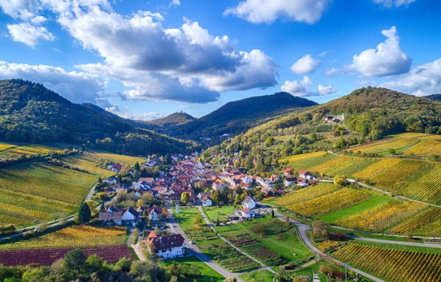 Weinbauminister Wissing hat Schutzgemeinschaft für Pfälzer Weinwirtschaft anerkannt