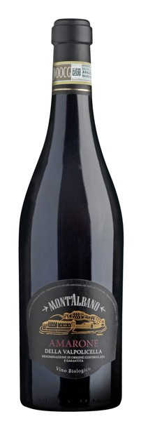 Amarone della Valpolicella 2013 Vino Biologico