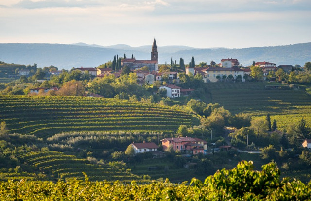 Brda - ein neuer Stern am Weinhimmel ?!