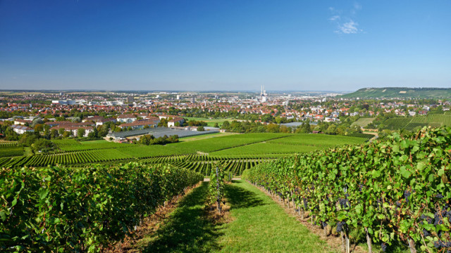 Die fröhliche Weinstadt Heilbronn