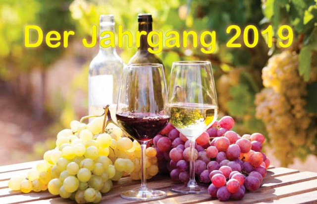 Der Jahrgang 2019: extraktreiche Weine mit sehr harmonischer Säure