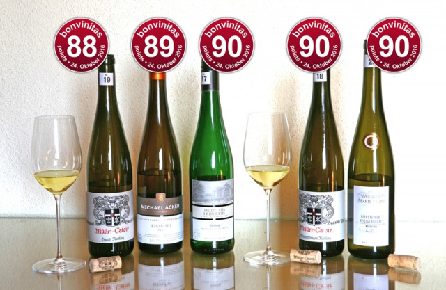 Bestens gereifte trockene Rieslinge aus 2013: delikat!