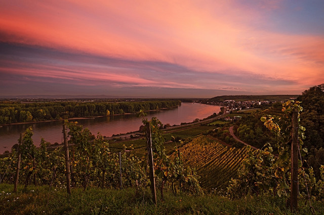 Rheinhessen in Jubiläumslaune