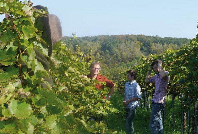 2015 auch in Österreich ein Top-Weinjahrgang - was eventuell sich einlagern?