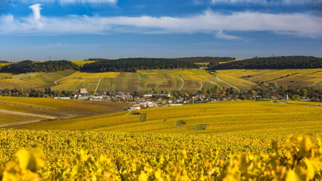 Chablis – die großartigen Chardonnay