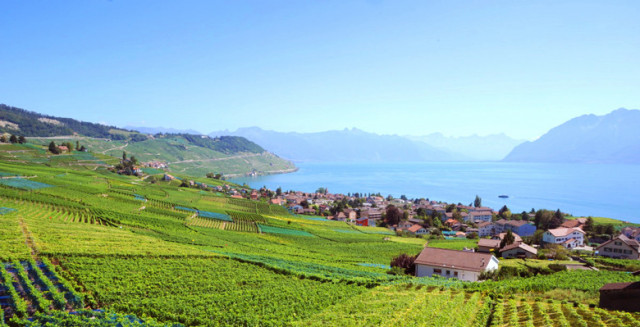 Historisches Weinland Schweiz: Das Lavaux am Genfer See