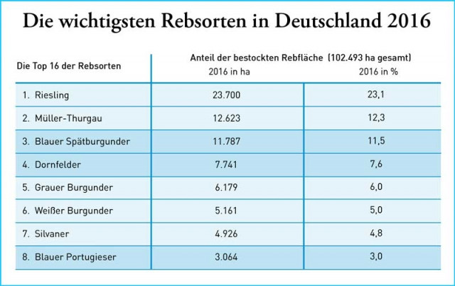 Deutsche Winzer setzen auf weiße Burgundersorten