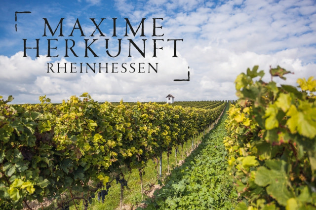 Neues Qualitätsmanagement: MAXIME HERKUNFT RHEINHESSEN