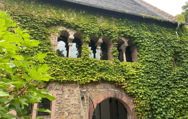 Das Graue Haus, Deutschlands ältestes Steinhaus: wachgeküsst als ‚Trüffel im Rheingau‘