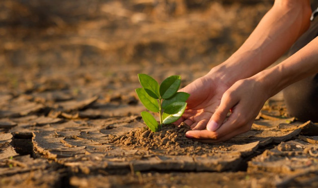 Zweiter Fortschrittsbericht der Deutschen Anpassungsstrategie an den Klimawandel