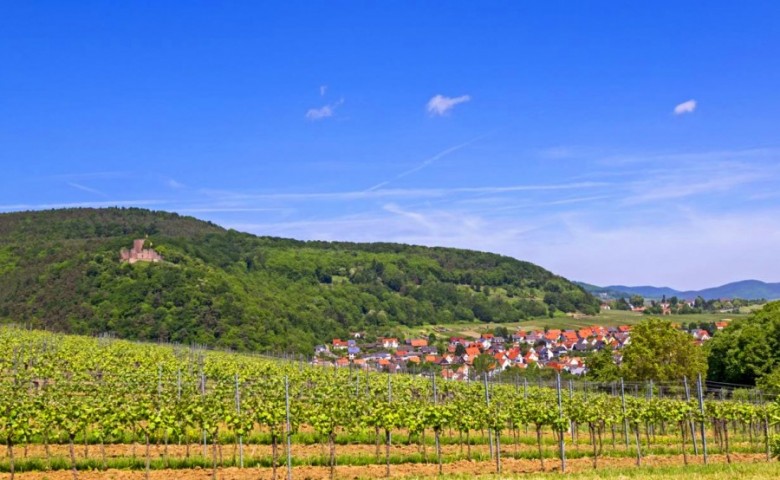 Blick auf Klingenmünster mit der Burg Landeck