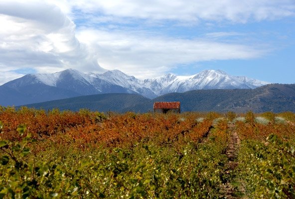 Roussillon