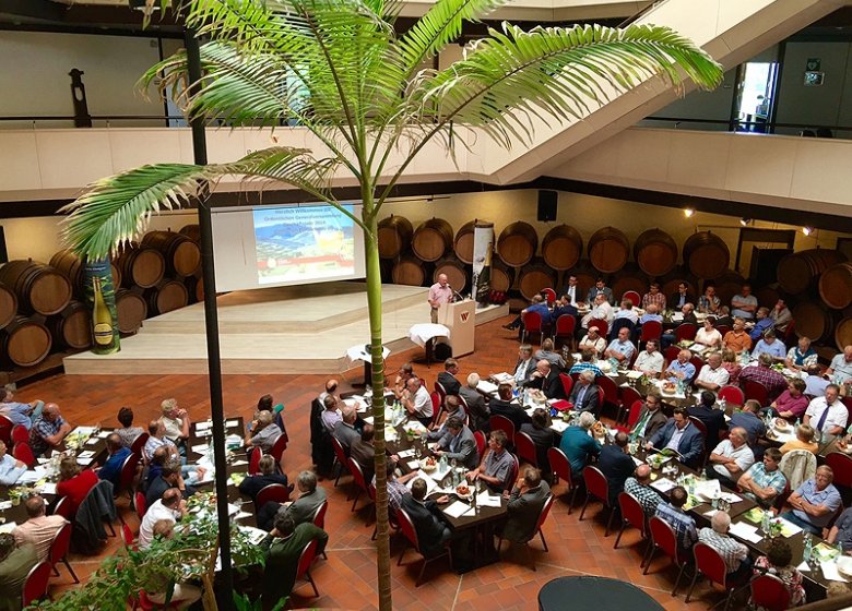 Bei seiner Hauptversammlung im Heinrich Hansjakob Hof im Juni stellte der Badische Winzerkeller seinen Geschäftsbericht 2014 vor.