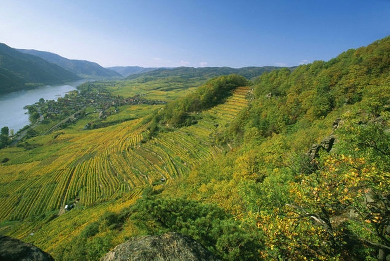 - Ried Achleiten im Weinbaugebiet Wachau in Niederösterreich.