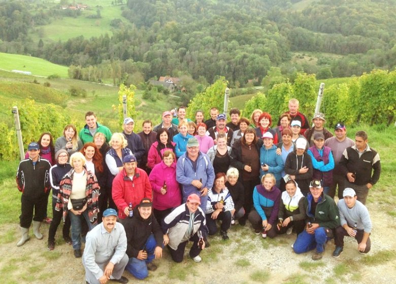 Lesemannschaft im Weingut Alois Gross, Ratsch an der Weinstraße, Steiermark