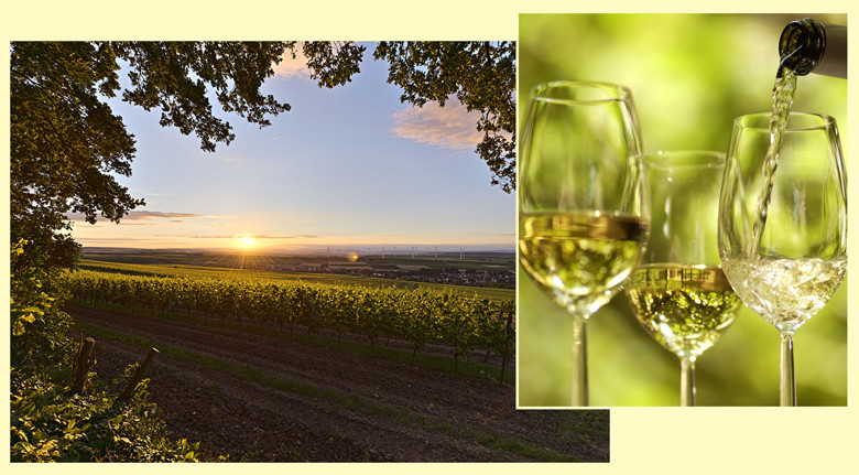 Deutsche Weine – und welche besonders beliebt sind; Sorten, Weintypen, Trends, Chancen … Landschaft: Im größten deutschen Weinbaugebiet: Rheinhessen. Foto: Achim Meurer, Rheinhessen Touristik. Gläserfoto: Deutsches Weininstitut