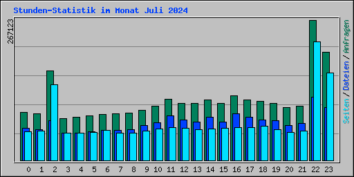 Stunden-Statistik im Monat Juli 2024