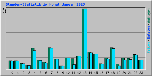 Stunden-Statistik im Monat Januar 2025